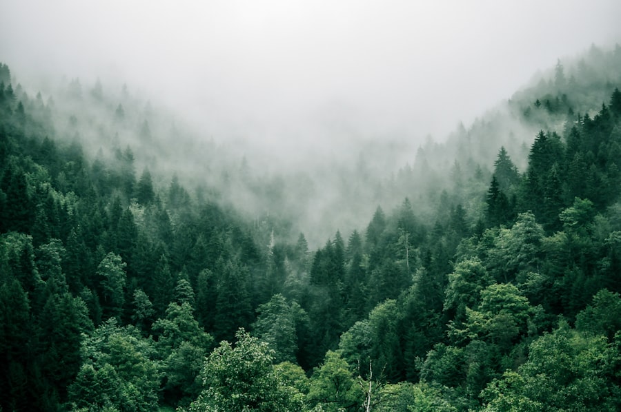 Forestry & Mining